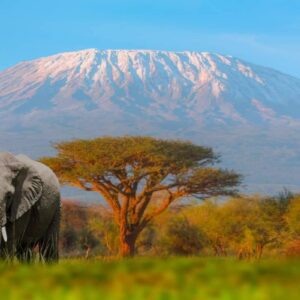 Kenyai szafari 2026 október - Kép 5