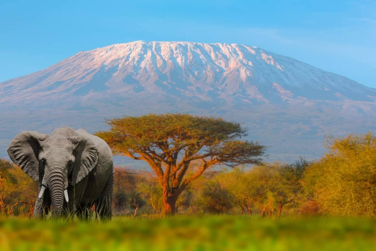 Kenyai szafari 2026 október - Kép 5